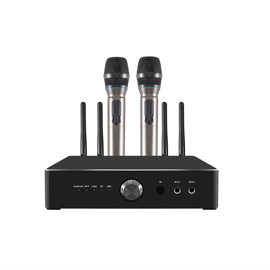 iHomeLife HLQ 600W All-in-One-Karaoke-Verstärker