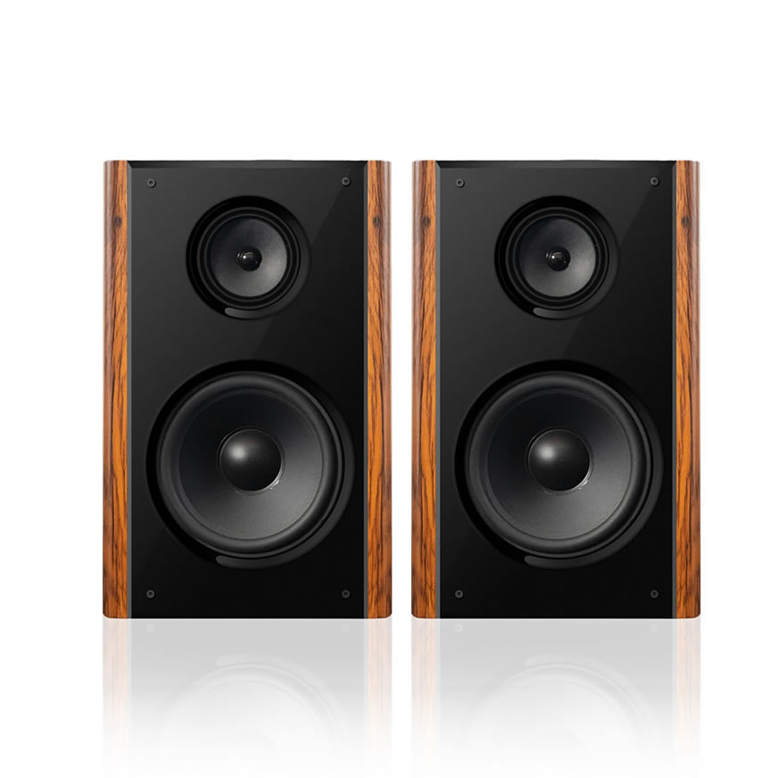 Enceinte de Karaoké Maison Professionnelle 300W Haute Puissance | iHomeLife-HLQ Audio HiFi pour KTV Maison, Home Cinéma et Petites Représentations