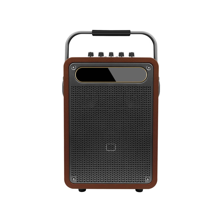 New Portable Karaoke Speaker (Special Speaker for Musical Instrument Performance and Singing)