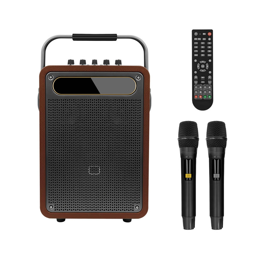 New Portable Karaoke Speaker (Special Speaker for Musical Instrument Performance and Singing)